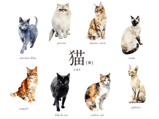 猫の水彩イラスト8種Bセット／AI画像（三毛猫・黒猫・シャム・スフィンクスなど）