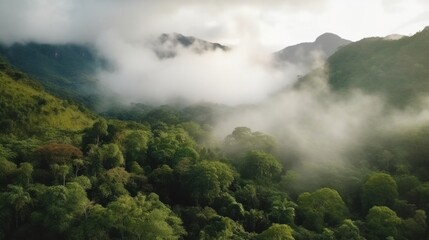 Foggy landscape in the jungle. fog and cloud mountain tropic valley landscape. aerial view. Generative AI.