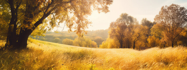 Beautiful landscape shot of a sunny day in the fall