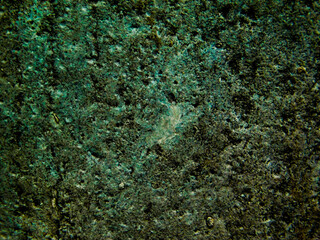 texture of green moss a spring 