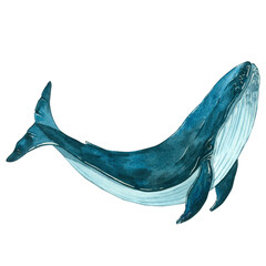 Watercolor illustration of a realistic whale in motion isolated on a white background. Suitable for fabric design, packaging paper, printing, postcards, sets, business cards, logos