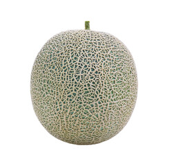 Melon isolated on transparent png