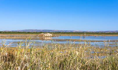The nature reserve oasis of Vendicari, Sicily