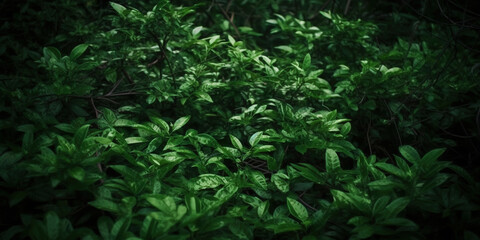 Obraz premium Deep tropical jungles. Dense forest landscape. Generative AI