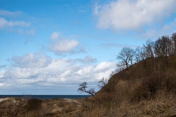 Landscape of Baltic Sea in spring