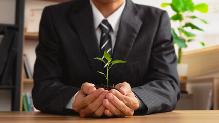 Businessmen hands holding tree for sustainable development goals. World Earth Day. company or businesses and corporations that care about the environment and ecosystem in greenery company.