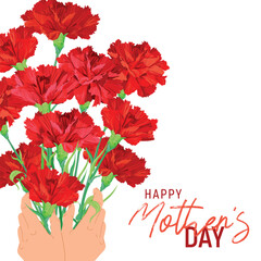 Bouquet of red carnations in hands. Postcard for Mother's Day. Flowers as a gift to beloved parents as a sign of respect and gratitude. Thank you dear person.