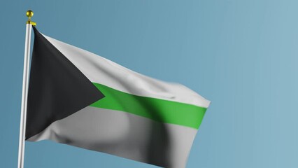 3Dl video of Demiromantic pride flag waving against blue background