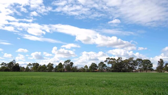Close up of green fresh grass lawn at the foreground in a large open field of a public park with some trees and Australian homes or houses in the blurry background. Backdrop texture with copy space.