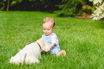Little baby girl gives treat to her dog puppy. Love and friendship between child and pet concept