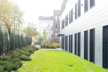 green landscaping near the facade of a business building