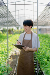 man Farmer harvesting vegetable and audit quality from hydroponics farm. Organic fresh vegetable, Farmer working with hydroponic vegetables garden harvesting, small business concepts.