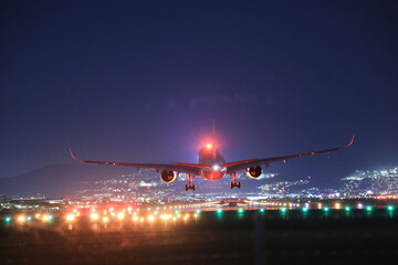 大阪伊丹空港離着陸（Takeoff and landing at Osaka Itami Airport）