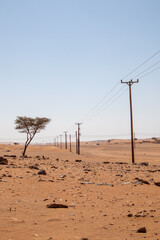 Wahibi Sands Desert, Oman with power lines, a tree and the authentic desert landscape