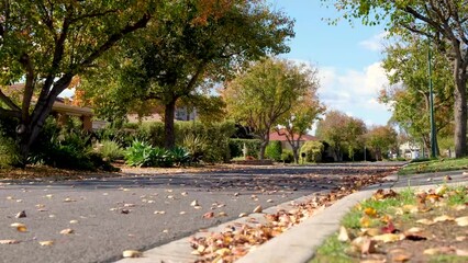 Suburban street of a quiet residential neighborhood in Melbourne. Beautiful autumn view on a tree-lined road with houses or homes on the side on a bright sunny autumn day. VIC Australia