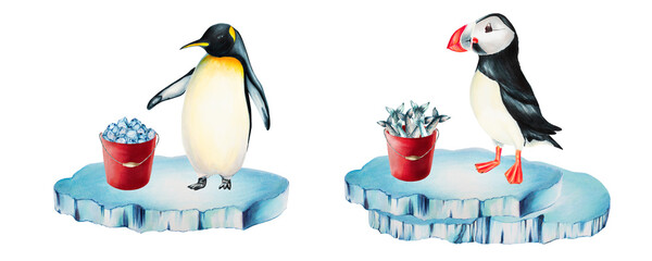 Watercolor puffin bird with red bucket full of fish and king penguins on ice isolated. Hand painting realistic Arctic and Antarctic ocean mammals. For designers, decoration, postcards, wrapping paper