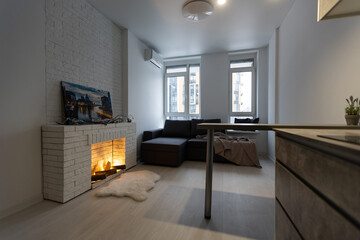 Contemporary apartment with open kitchen and living room