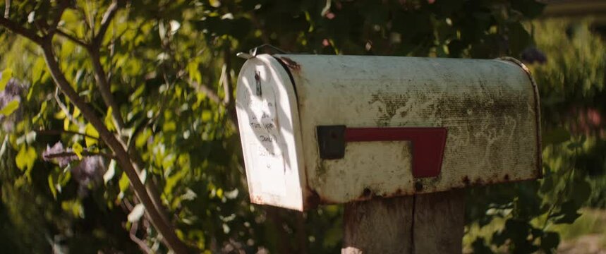 white mailbox in front of green bush