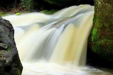 waterfall in the forest