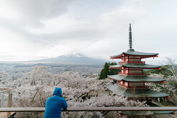 Mountain Fuji and Chureito red pagoda with cherry blossom sakura, kawaguchiko, Japan.
