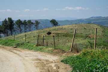 Fototapeta na wymiar countryside field in Basilicata, South Italy 