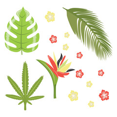 Set. Leaves and flowers. The tropics. Vector illustration