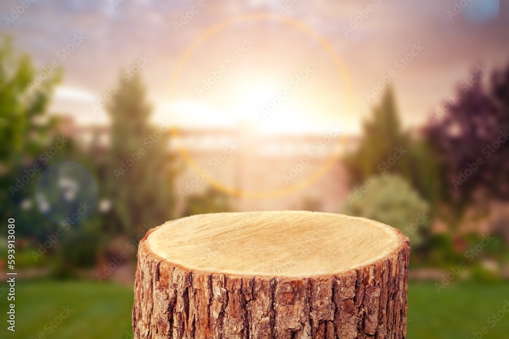 Poster wood Podium tree trunk on nature background