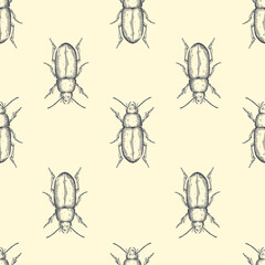 Hand drawn vector pattern with insects . Vector collection. Detailed realistic sketches. Ink, pen, linework.