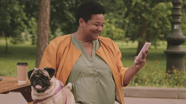 Waist up slowmo of happy mature Black woman with pug smiling while scrolling on smartphone spending leisure time outdoors in park