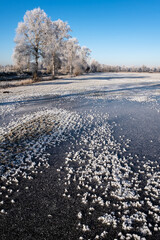 Field and trees are covered with hoarfrost, against the blue sky, on a frosty morning. Beautiful rural landscape.