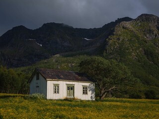 Lone white house in a meadow at the foot of a mountain in Lofoten, Norway