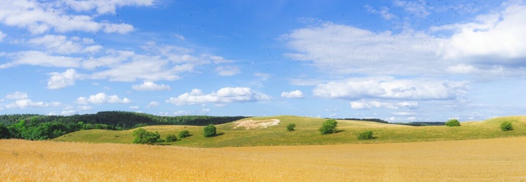 Rural landscape with a brown field and green hills in Osterlen, Skane, Scania