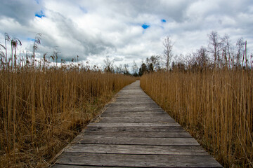 Obraz na płótnie Canvas Bad Wurzach, Germany - April 2023: wooden path at Riedsee Lake in Bad Wurzach