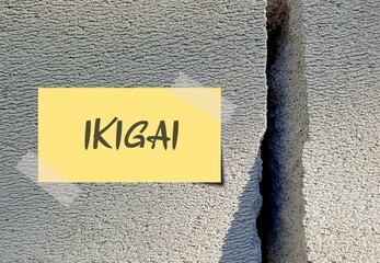 Note on rock concrete background with text written FIND YOUR IKIGAI, Japanese concept of a reason...