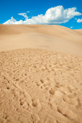 Great Sand Dunes National Park and Preserve