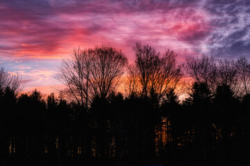 Another beautiful spring sunrise in Windsor in Upstate NY. Silhouette of trees with the dreamy lit sky behind them.