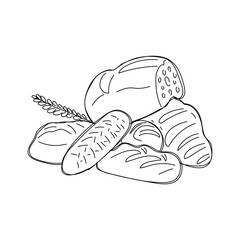 Different types of wheat, flour fresh bread. Hand Drawn vector illustration.