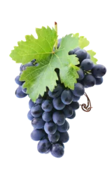 Photo sur Plexiglas Vignoble Bunch grape isolated 