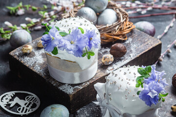 Obraz na płótnie Canvas Easter cake with meringue and violets on a dark background
