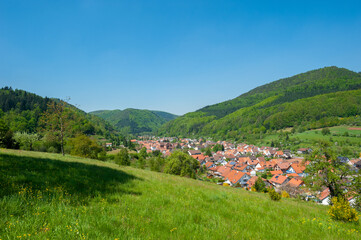 Fototapeta premium Landschaft im Naturpark Pfälzerwald und Dorfbild von Eußerthal mit der ehemaligen Klosterkirche. Region Pfalz im Bundesland Rheinland-Pfalz in Deutschland