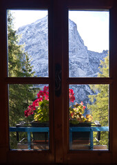Magical Window: Mountains and Flowers in Italy (Dolomites)