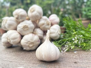 Garlic on brown wood background