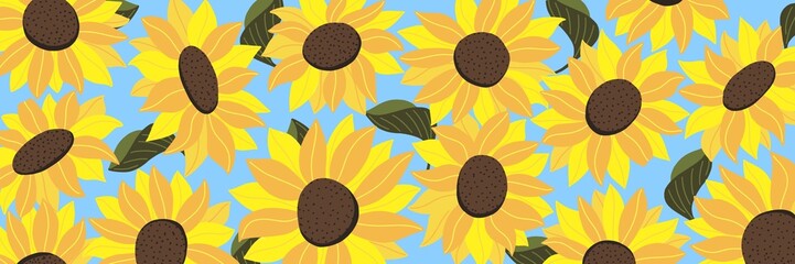 Horizontal background with painted sunflowers. Ukrainian flowers.  Hand drawn illustration.