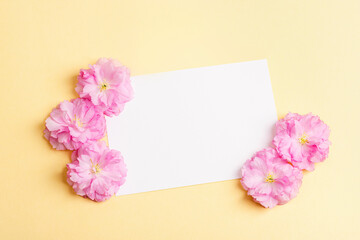 Blank card and cherry blossom on beige background. Top view, flat lay, mockup
