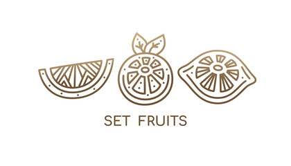 Set icons citrus fruits. logo of lemon, orange, grapefruit sliced, flower, plant leaves. Tropical symbol exotic fruits. Vector linear illustration. Symbol of farm, raw and eco food, health, diet.