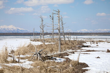 the landscape of Todowara called the end of the world in Hokkaido, Japan