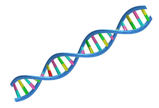 Dna Structure isolated. Png transparency