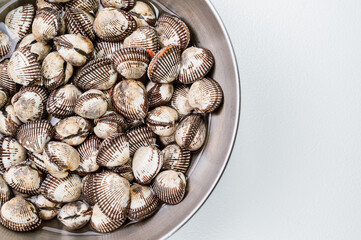 Fresh seafood cockles in a bowl