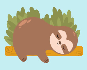 Sloth sleepy
