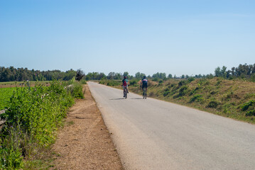 Hombre senior y hombre joven montando en bicicleta por un camino asfaltado bajo el sol de la mañana.